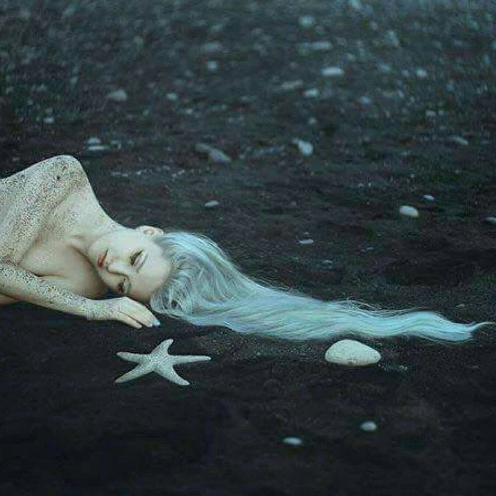 Meet your Posher, Shaynah